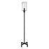 66" Black Torchiere Floor Lamp With Clear Seeded Glass Drum Shade