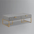 46" Gray And Gold Stainless Steel Coffee Table With Two Drawers